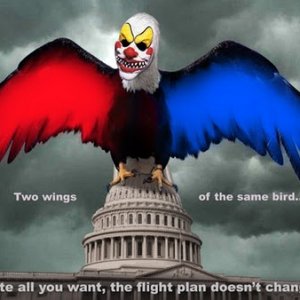 two wings same bird