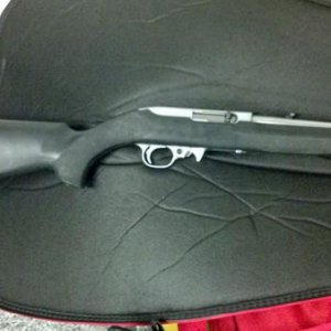 All-Weather Ruger 10/22 with Hogue Overmold stock.