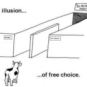 illusion2
