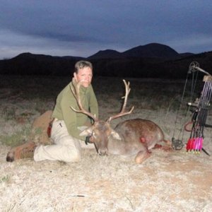 Africa Fallow Deer Bow Kill