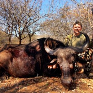 Africa Cape Buffalo - Bow shot was not a kill shot, finished with the .458 (not SOCOM).