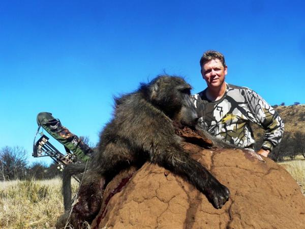 Africa Baboon Bow Kill