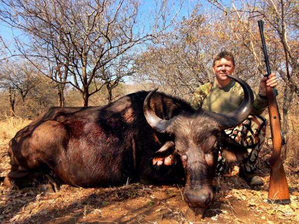 Africa Cape Buffalo - Bow shot was not a kill shot, finished with the .458 (not SOCOM).