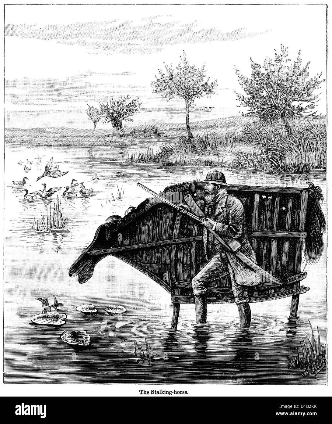 victorian-engraving-of-a-man-hunting-wild-duck-with-the-use-of-a-stalking-D1B2KK.jpg