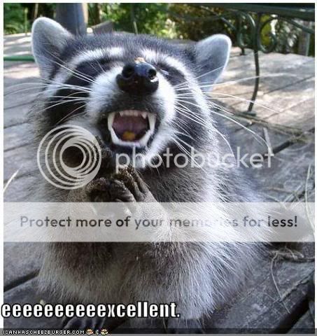 evil-raccoon-excellent.jpg