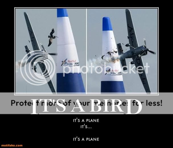 its-a-bird-its-a-plane-bird-airplane-collision-demotivational-posters-1308757209.jpg