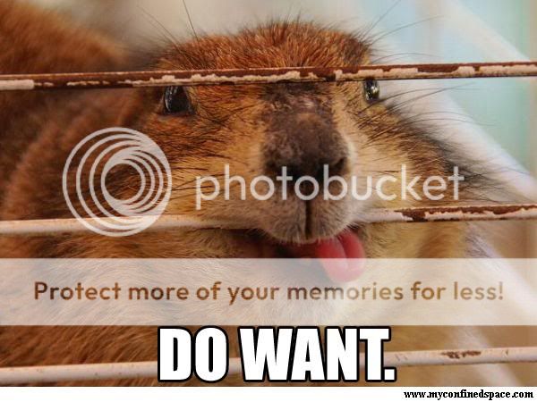 do-want-beaver.jpg