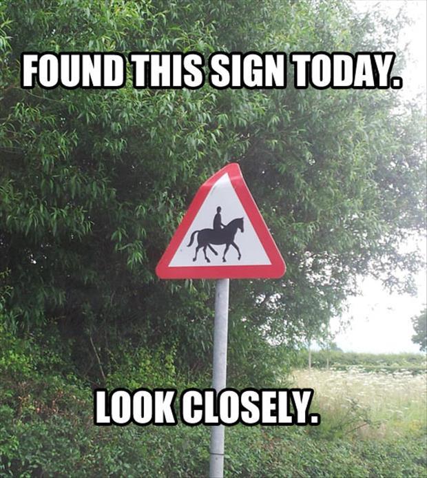 funny-horse-sign.jpg