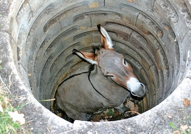 donkey-hole.jpg