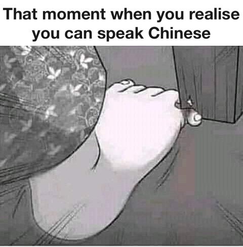that-moment-when-you-speak-chinese.png