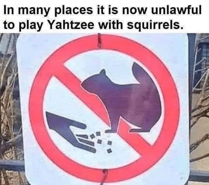 warning-from-feeding-squirrels-in-many-places-it-is-now-unlawful-to-play-yahtzee-with-squirrels
