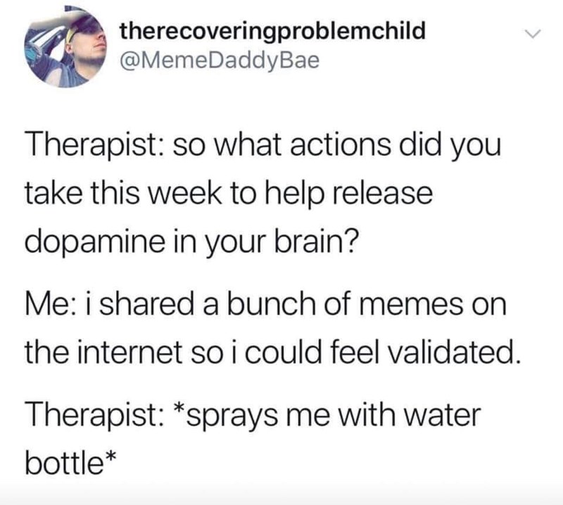 brain-shared-bunch-memes-on-internet-so-could-feel-validated-therapist-sprays-with-water-bottle