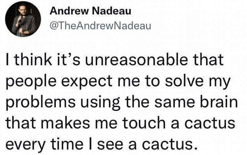 people-expect-solve-my-problems-using-same-brain-makes-touch-cactus-every-time-see-cactus