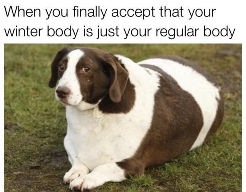 dog-finally-accept-winter-body-is-just-regular-body