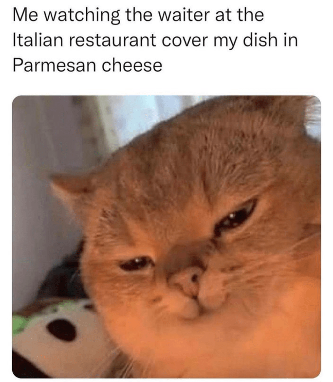 cat-watching-waiter-at-italian-restaurant-cover-my-dish-parmesan-cheese
