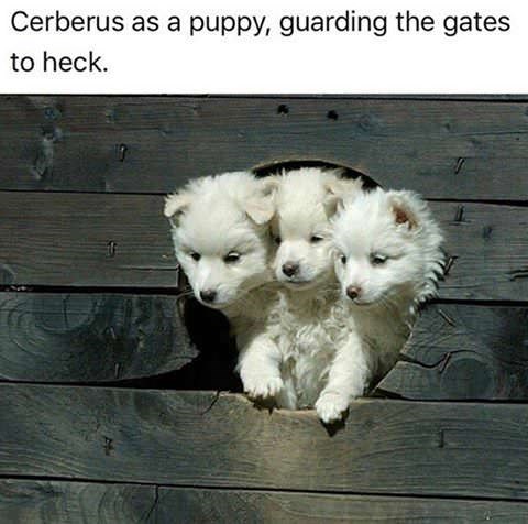 dog-cerberus-as-puppy-guarding-gates-heck