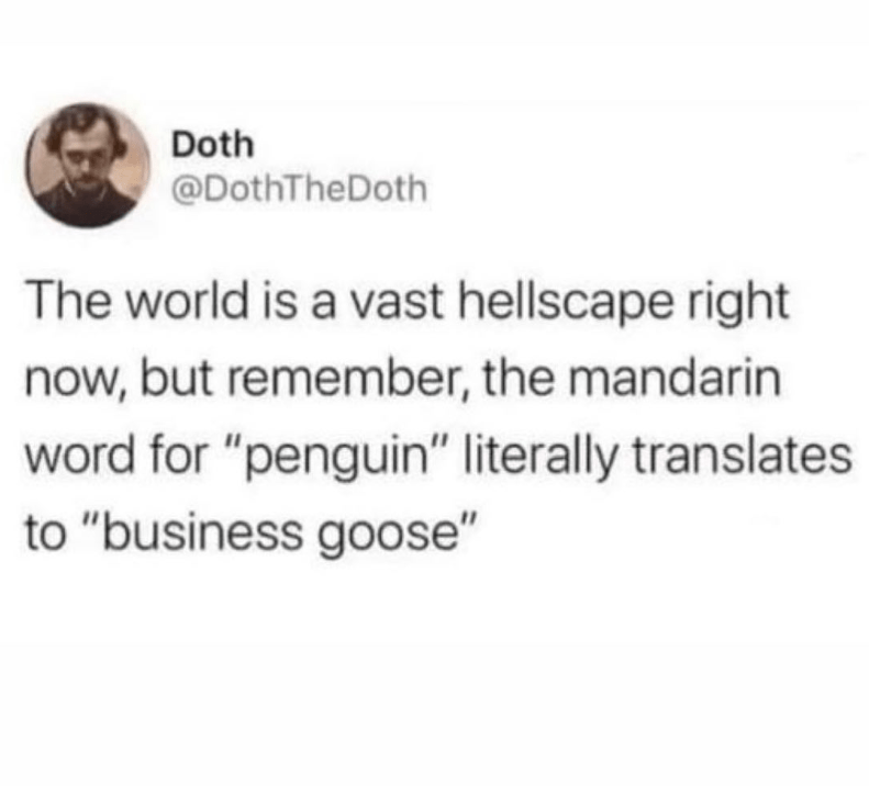 is-vast-hellscape-right-now-but-remember-mandarin-word-penguin-literally-translates-business-goose