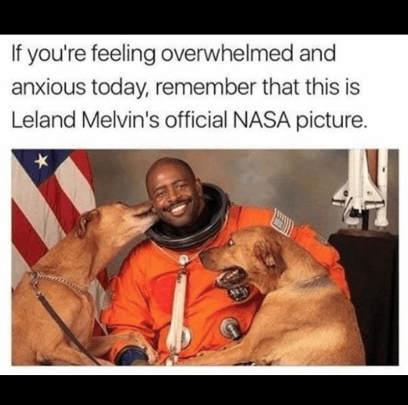 dog-if-feeling-overwhelmed-and-anxious-today-remember-this-is-leland-melvins-official-nasa-picture
