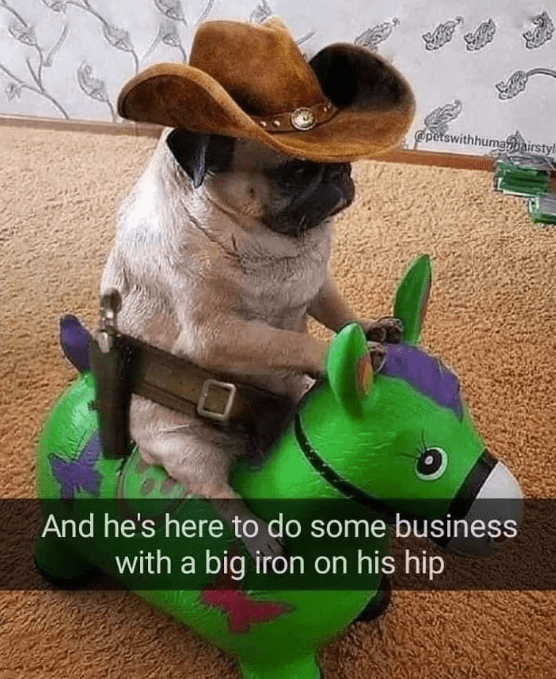hat-s-petswithhumanhairstyl-and-hes-here-do-some-business-with-big-iron-on-his-hip