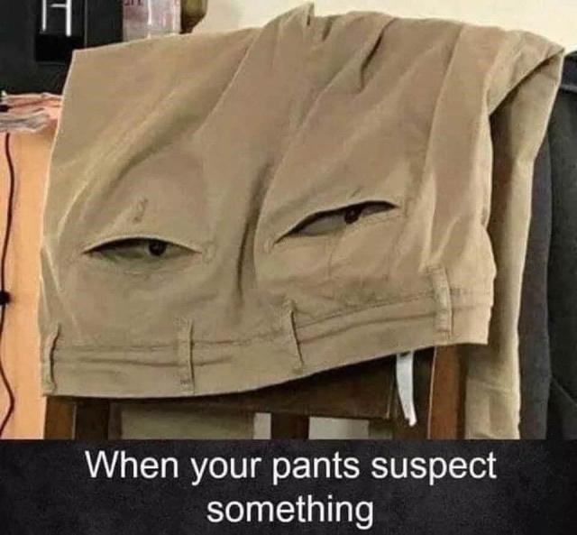 pants-suspect-something