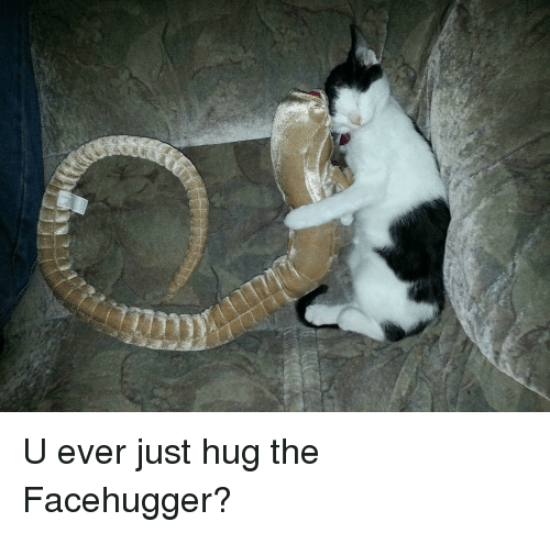 u-ever-just-hug-the-facehugger-35852908.png