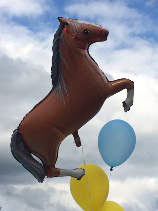 horse-balloon-penis.jpg