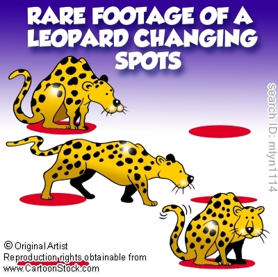 leopard-changing-spots1.png