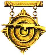 160px-Former_US_Army_Distinguished_Automatic_Rifleman_Badge.png